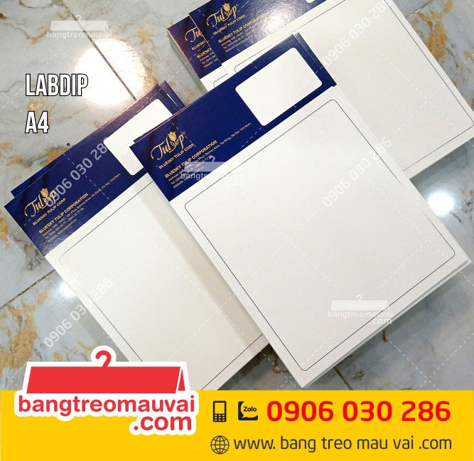 Sản-xuất-Labdip-Bluesky-Tulip-khổ-A4